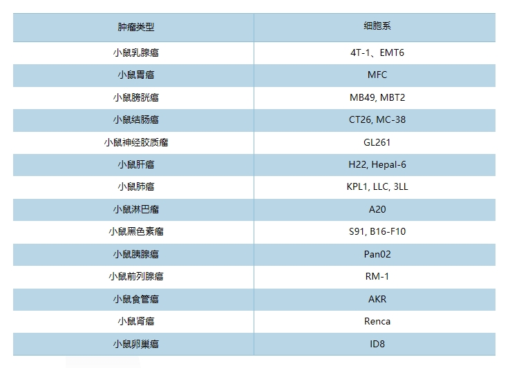 8763b712-d967-497d-931a-cf89433e3fb7.jpg