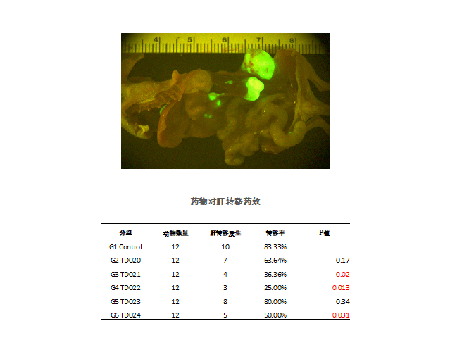 12e50cb0-7e7f-4422-9de1-558f104da33e.png