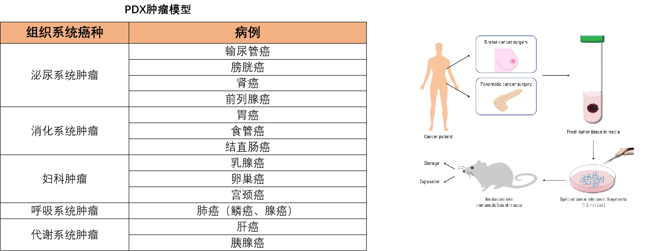 992505d0-1dd0-4a7e-89b7-e1286f08b99b.png