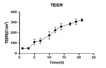 79c44246-d058-402e-967f-5eb22f8a6d1f.png